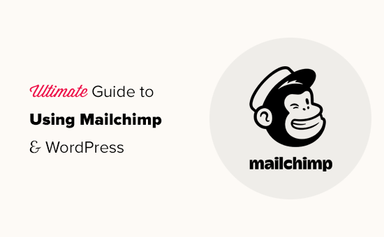 Read more about the article Ultimate Guide to Using Mailchimp and WordPress (2021)