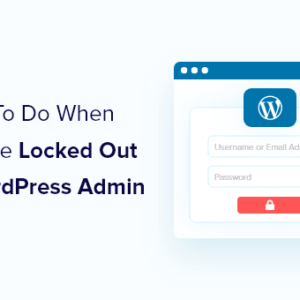 Read more about the article What To Do When You Are Locked Out of WordPress Admin (wp-admin)