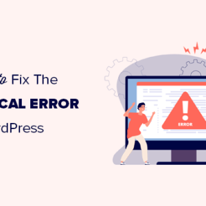 Read more about the article How to Fix The Critical Error in WordPress (Step by Step)