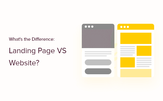 Read more about the article What’s the Difference Between Landing page vs Website?