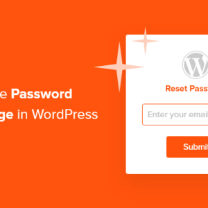 Read more about the article How To Customize WordPress Reset Password Page