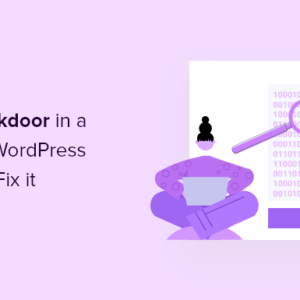 Read more about the article How to Find a Backdoor in a Hacked WordPress Site and Fix It