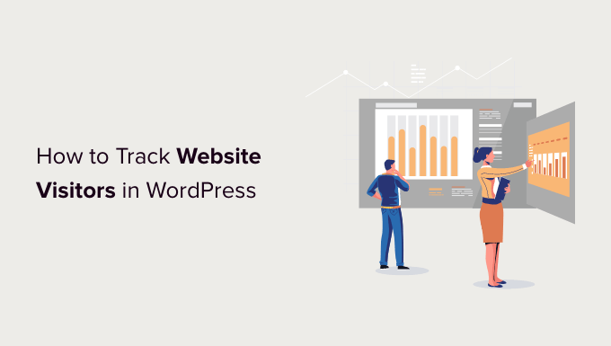 Read more about the article How to Track Website Visitors to Your WordPress Site