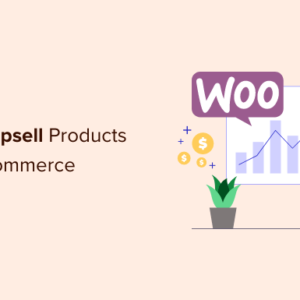 Read more about the article How to Upsell Products in WooCommerce (5 Easy Ways)