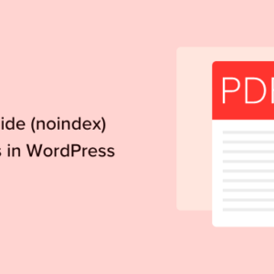 Read more about the article How to Easily Hide (Noindex) PDF Files in WordPress
