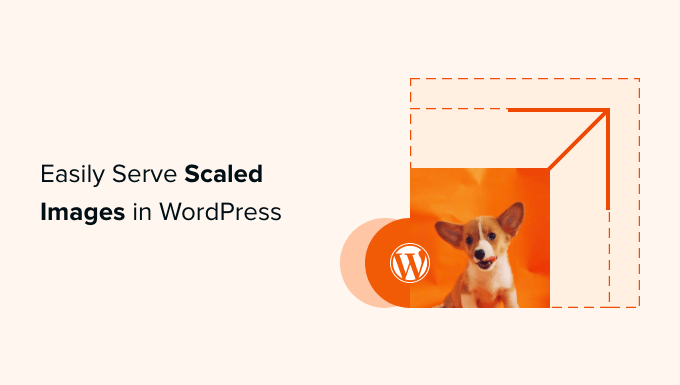 You are currently viewing How to Easily Serve Scaled Images in WordPress (Step by Step)