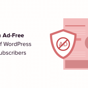 Read more about the article How to Offer an Ad-Free Version of Your WordPress Site to Subscribers