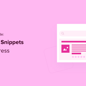 Read more about the article Beginner’s Guide: How to Use Rich Snippets in WordPress