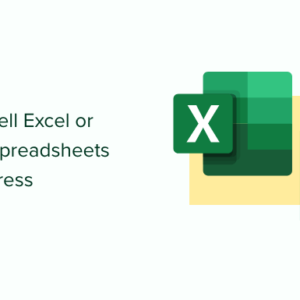 Read more about the article How to Sell Excel or Google Spreadsheets in WordPress