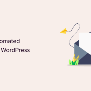 Read more about the article How to Send Automated Emails in WordPress