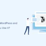 What is Headless WordPress and Should You Use It? (Pros & Cons)