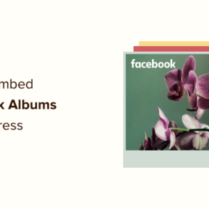 Read more about the article How to Embed Facebook Albums in WordPress