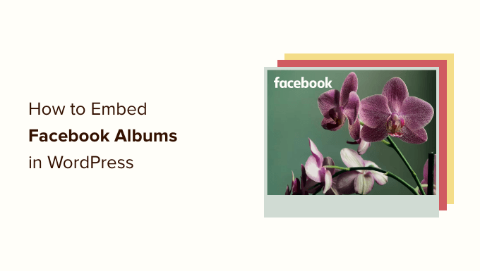 You are currently viewing How to Embed Facebook Albums in WordPress