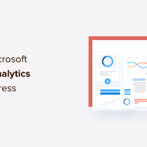 Read more about the article How to Install Microsoft Clarity Analytics in WordPress