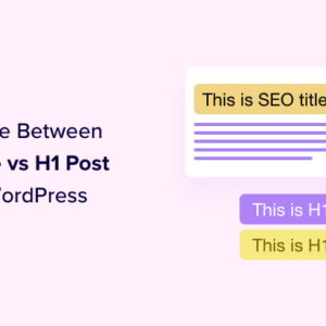 Read more about the article SEO Title vs H1 Post Title in WordPress: What’s the Difference?