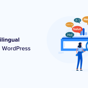 Read more about the article How to Add Multilingual Search in WordPress (2 Ways)