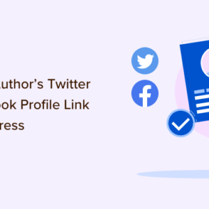 Read more about the article How to Display Author’s Twitter and Facebook on the Profile Page