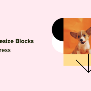 Read more about the article How to Change Block Height and Width in WordPress
