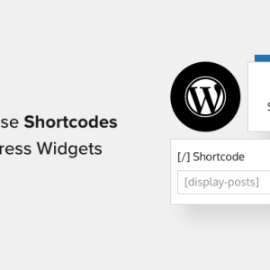 Read more about the article How to Use Shortcodes in your WordPress Sidebar Widgets