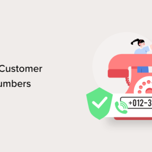 Read more about the article How to Validate Customer Phone Numbers (2 Ways)