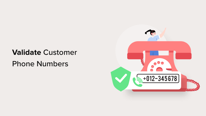 Read more about the article How to Validate Customer Phone Numbers (2 Ways)