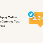 How to Display Twitter Followers Count as Text in WordPress