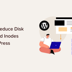 Read more about the article How to Free Disk Space and Reduce Inode Usage in WordPress