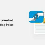 How to Take a Screenshot for Your Blog Posts (Beginner’s Guide)