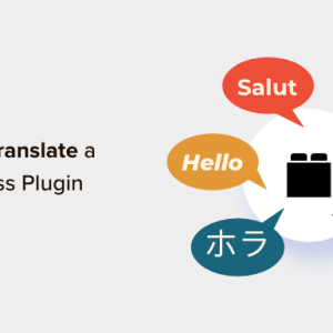 Read more about the article How to Translate a WordPress Plugin in Your Language