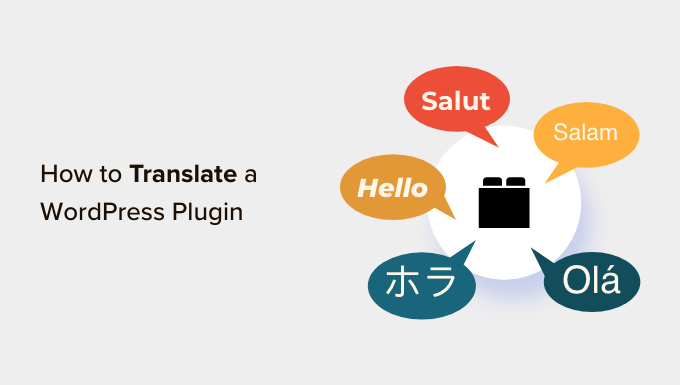 You are currently viewing How to Translate a WordPress Plugin in Your Language