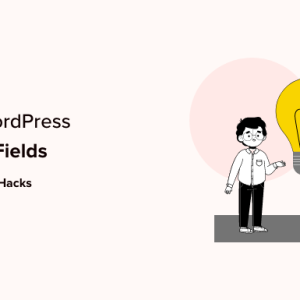 Read more about the article WordPress Custom Fields 101: Tips, Tricks, and Hacks