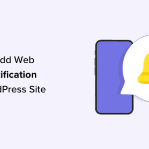 Read more about the article How to Add Web Push Notifications to Your WordPress Site
