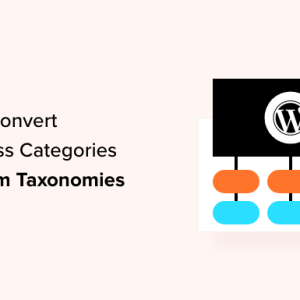 Read more about the article How to Convert WordPress Categories to Custom Taxonomies
