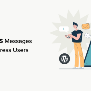 Read more about the article How to Send SMS Messages to Your WordPress Users
