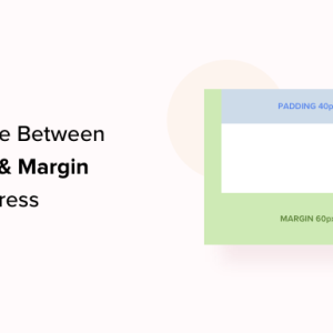 Read more about the article What’s the Difference Between Padding and Margin in WordPress?