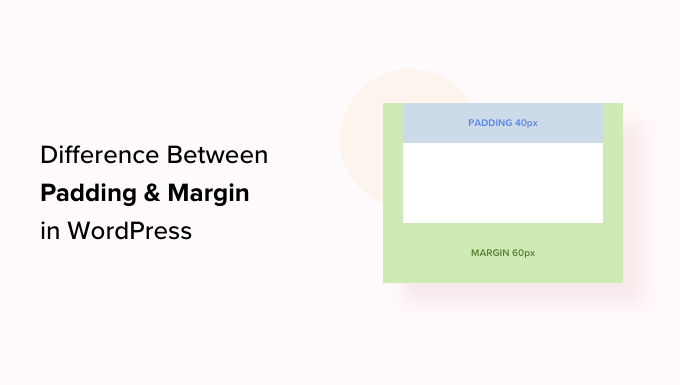 You are currently viewing What’s the Difference Between Padding and Margin in WordPress?