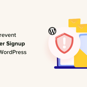 Read more about the article How to Prevent Newsletter Signup Spam in WordPress