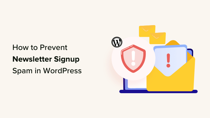 You are currently viewing How to Prevent Newsletter Signup Spam in WordPress