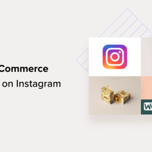 Read more about the article How to Sell Your WooCommerce Products on Instagram