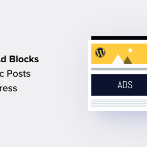 Read more about the article How to Display Ad Blocks in Specific Posts in WordPress