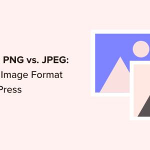 Read more about the article WebP vs. PNG vs. JPEG: The Best Image Format for WordPress