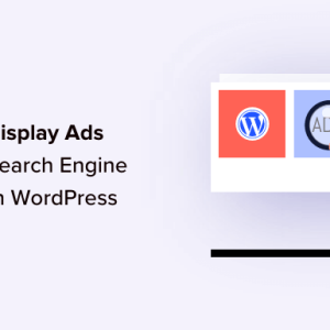 Read more about the article How to Display Ads Only to Search Engine Visitors in WordPress