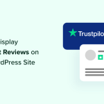 How to Display Trustpilot Reviews on Your WordPress Site