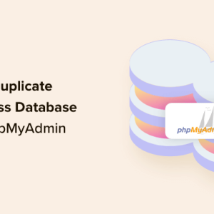 Read more about the article How to Duplicate WordPress Database Using phpMyAdmin