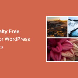Read more about the article How to Find Royalty Free Images for Your WordPress Blog Posts