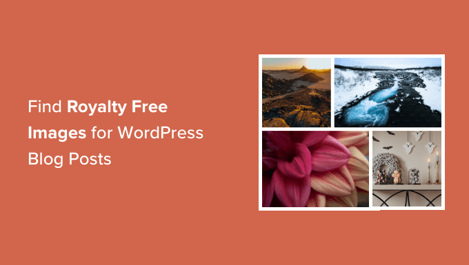 Read more about the article How to Find Royalty Free Images for Your WordPress Blog Posts