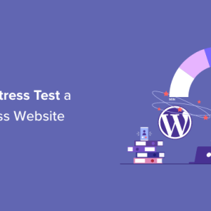 Read more about the article How to Stress Test a WordPress Website (2023)