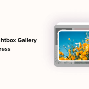 Read more about the article How to Add a Gallery in WordPress with a Lightbox Effect