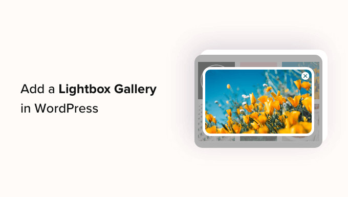 You are currently viewing How to Add a Gallery in WordPress with a Lightbox Effect
