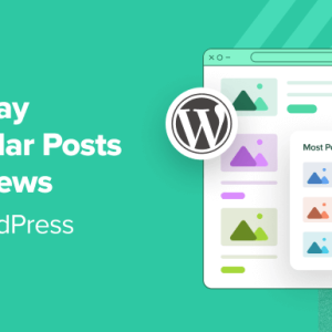Read more about the article How to Display Popular Posts by Views in WordPress (2 Ways)